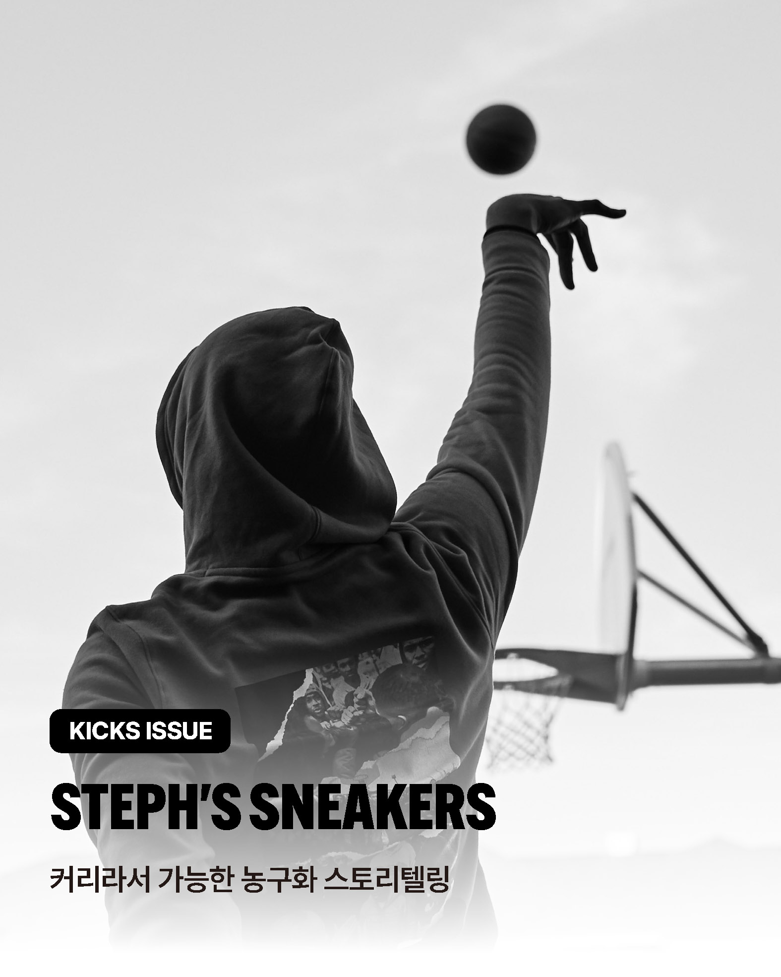 hoopcity 커리 농구화 (1).jpg